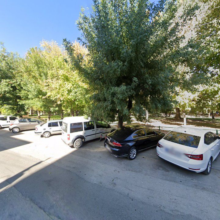 Fotoğraf 12