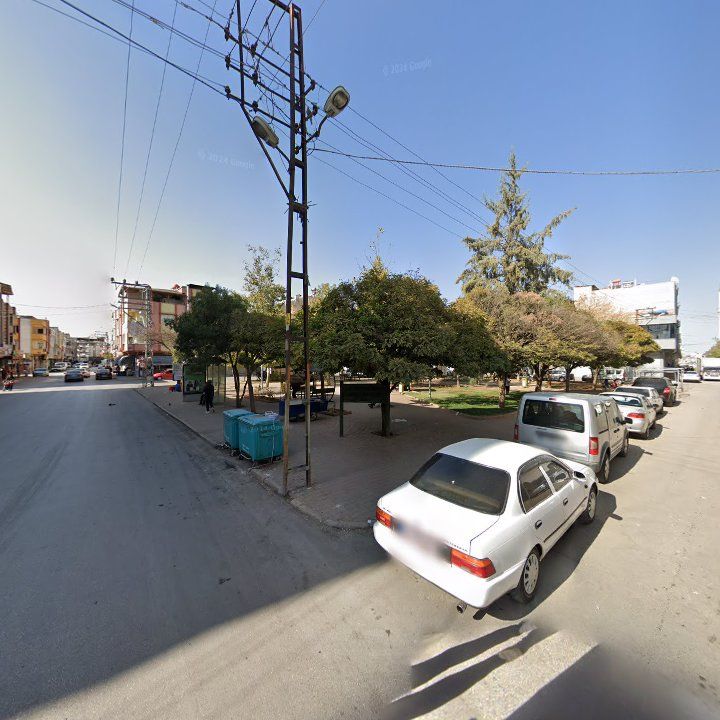 Fotoğraf 7