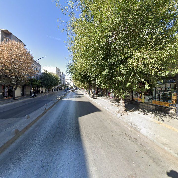 Fotoğraf 12