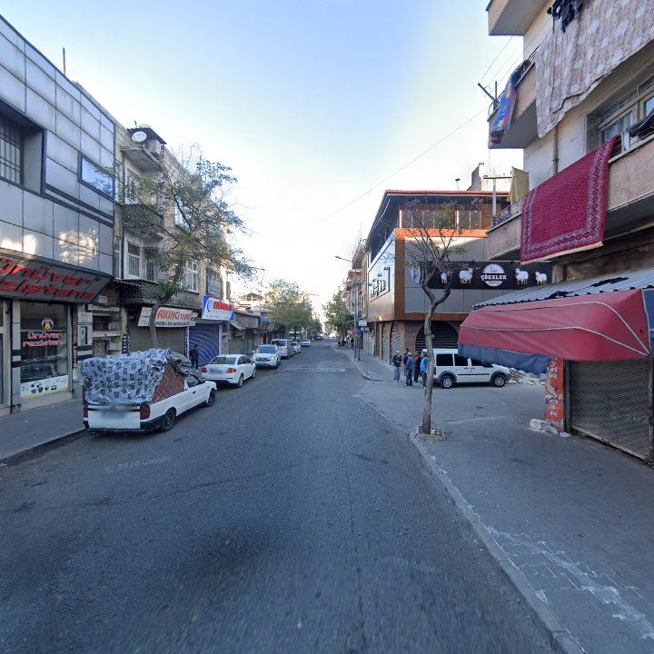 Fotoğraf 7
