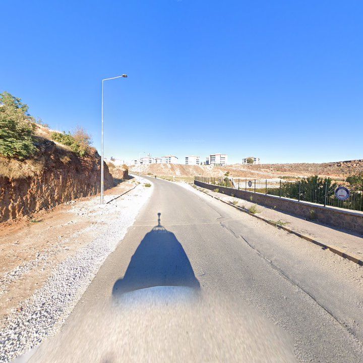 Fotoğraf 9