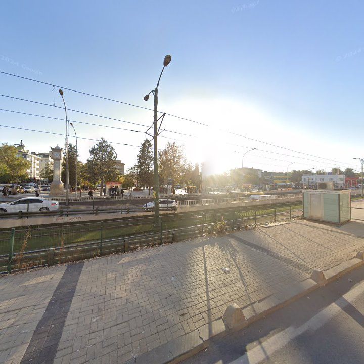 Fotoğraf 11