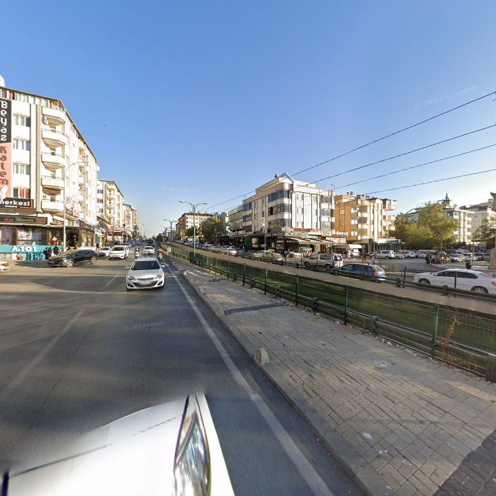 Fotoğraf 10