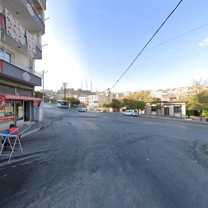 Fotoğraf 6