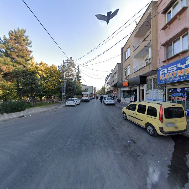 Fotoğraf 8