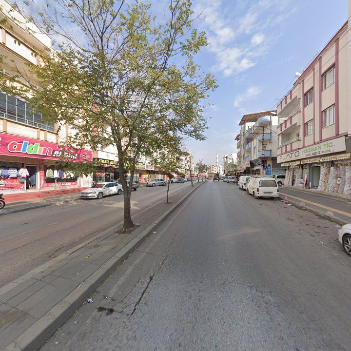 Fotoğraf 5