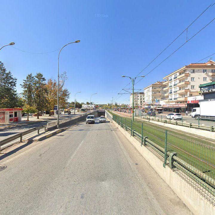 Fotoğraf 11