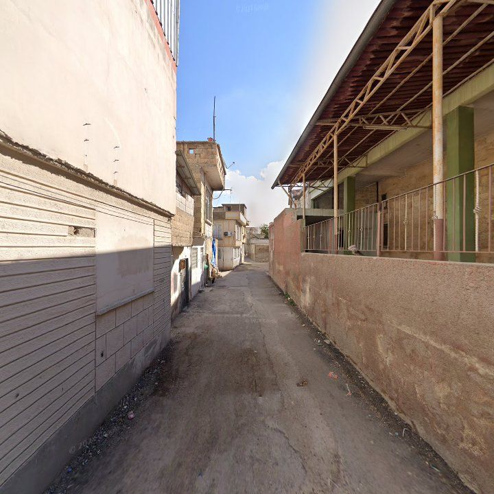 Fotoğraf 12