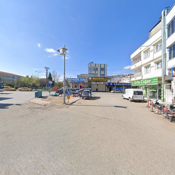 Fotoğraf 9