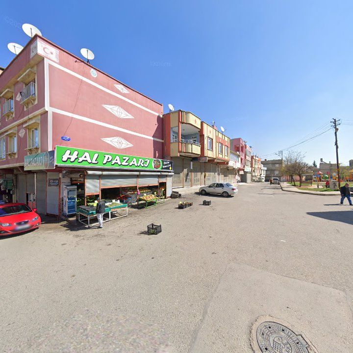 Fotoğraf 7