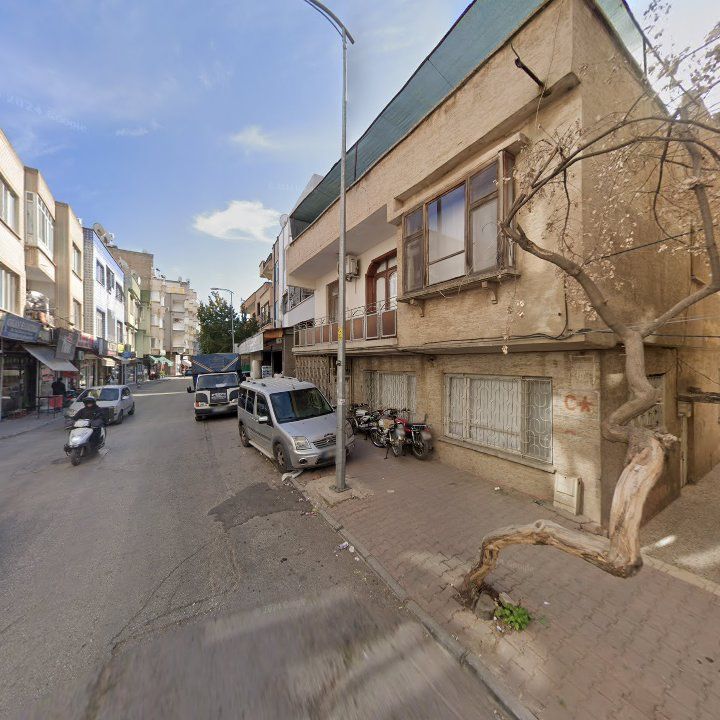 Fotoğraf 5