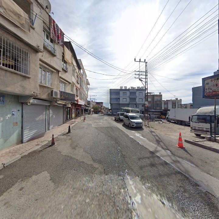 Fotoğraf 6