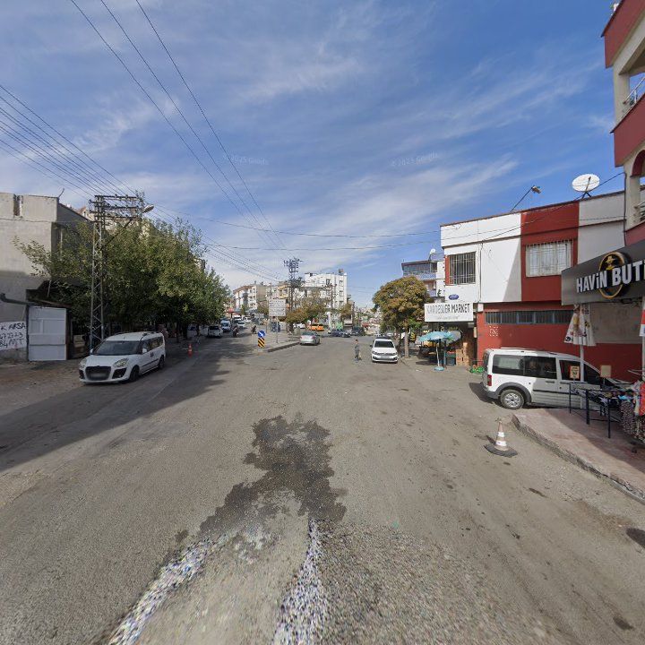Fotoğraf 8