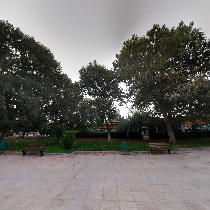 Fotoğraf 7