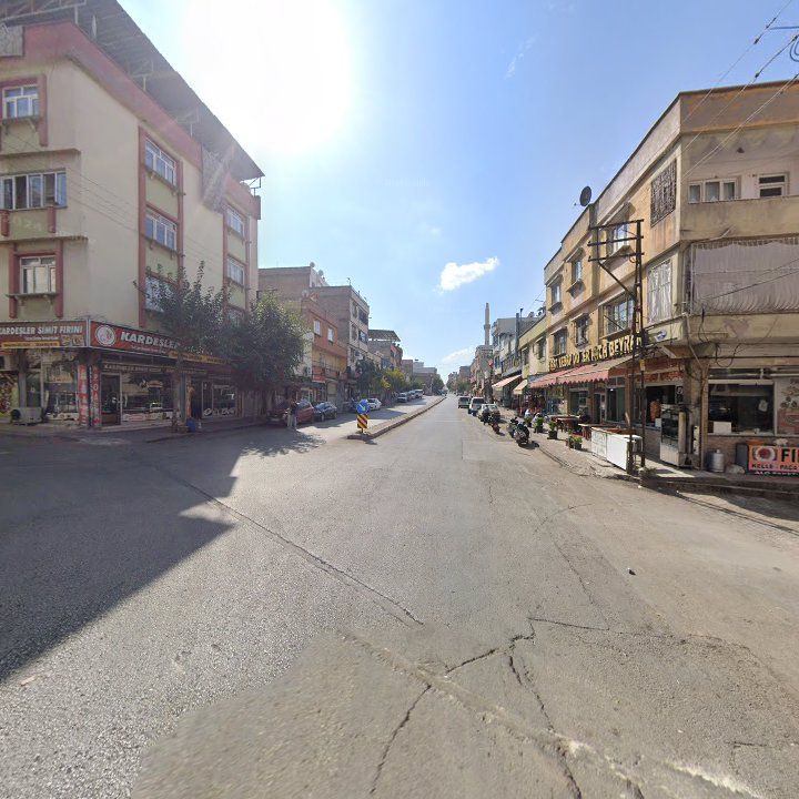 Fotoğraf 11