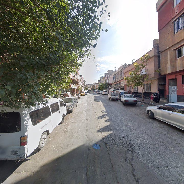 Fotoğraf 8