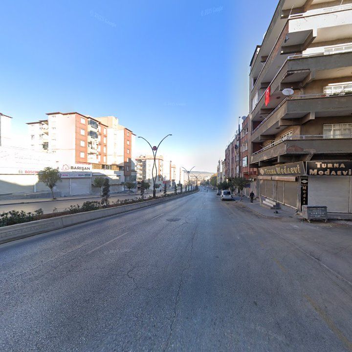 Fotoğraf 10