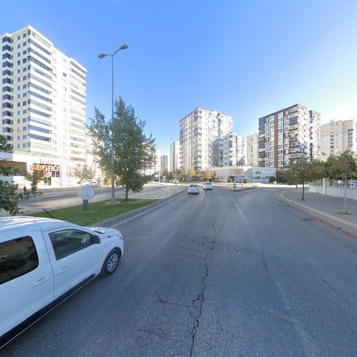 Fotoğraf 9