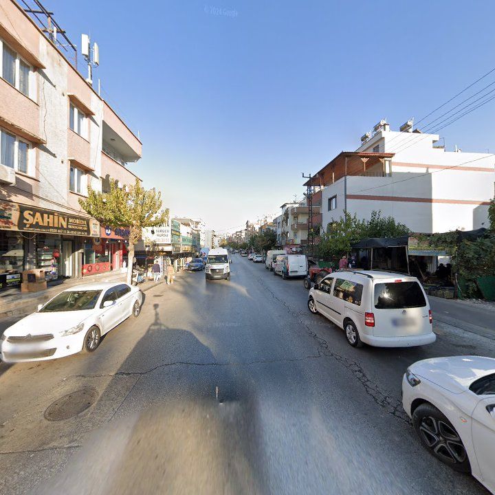 Fotoğraf 8