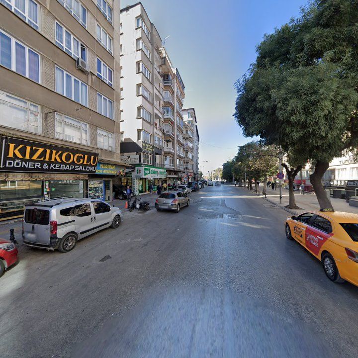 Fotoğraf 9