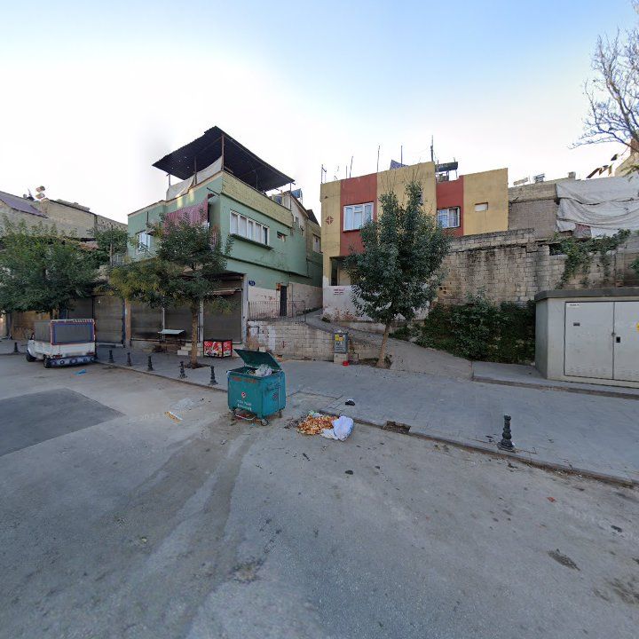 Fotoğraf 10