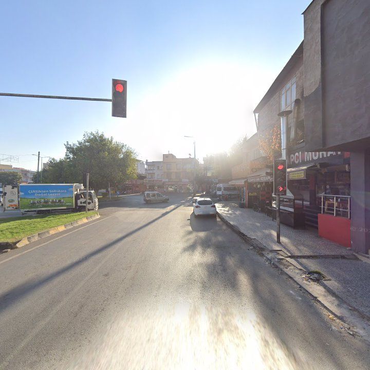 Fotoğraf 10