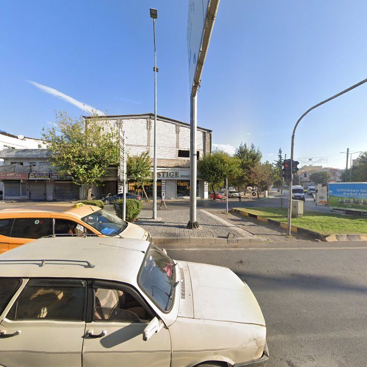 Fotoğraf 9