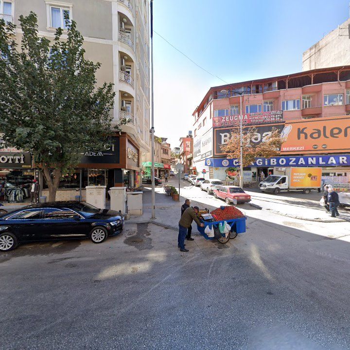 Fotoğraf 11