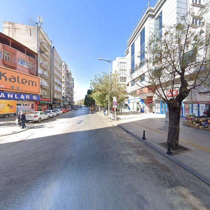 Fotoğraf 12