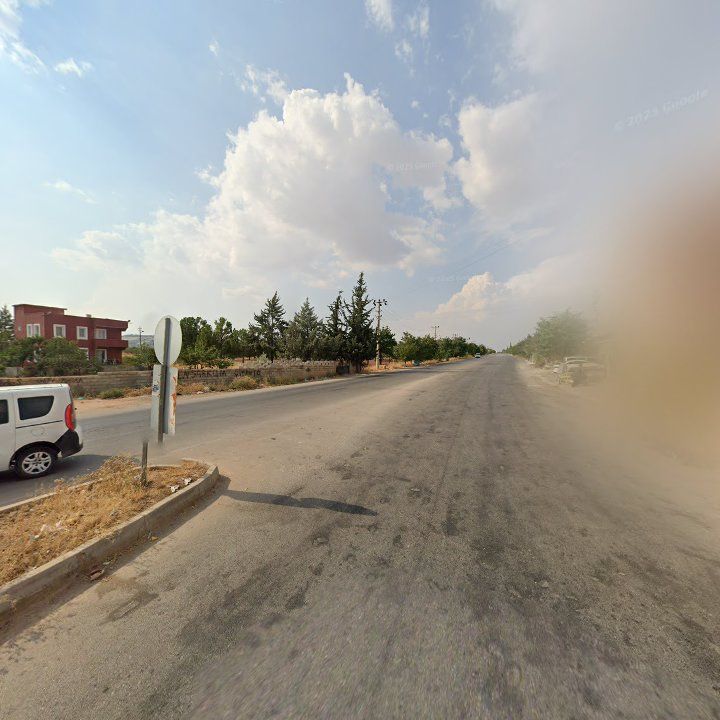 Fotoğraf 6