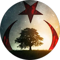 Şahinnn