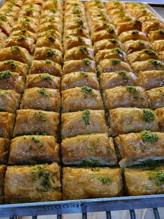 Fotoğraf 17