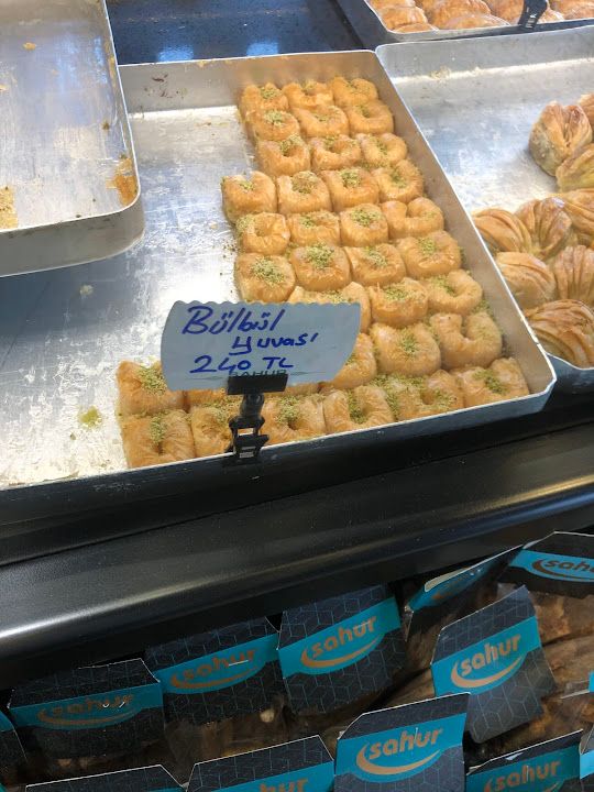 Fotoğraf 23