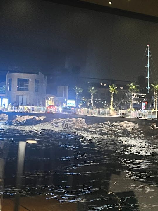 Yorum fotoğrafı 4