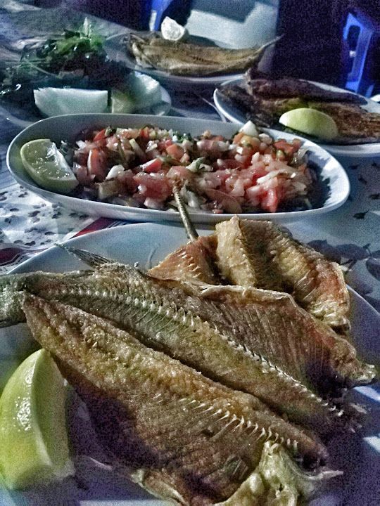 Fotoğraf 33