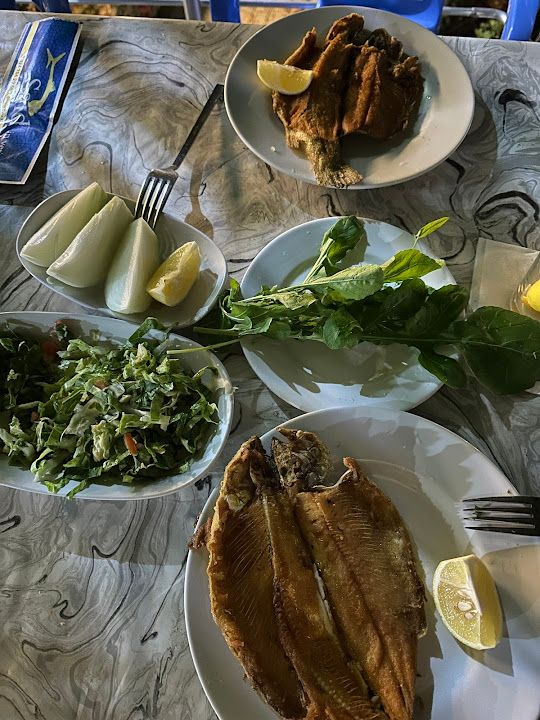 Fotoğraf 30