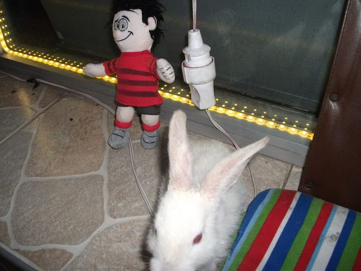 Yorum fotoğrafı 3