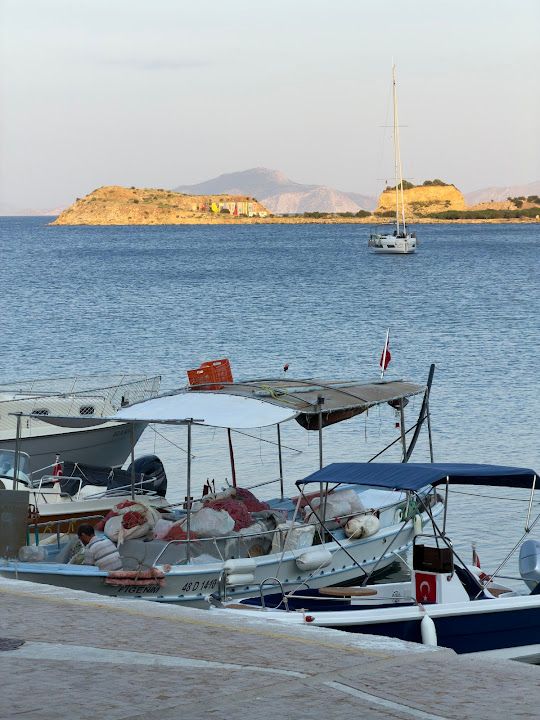 Fotoğraf 35