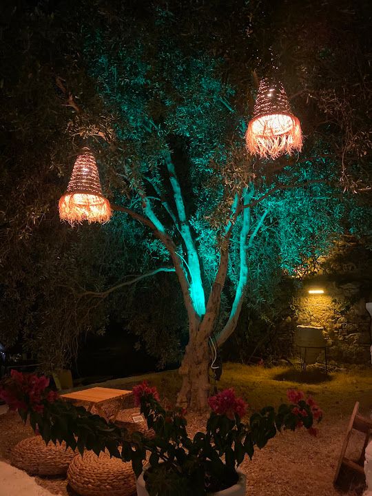 Fotoğraf 48