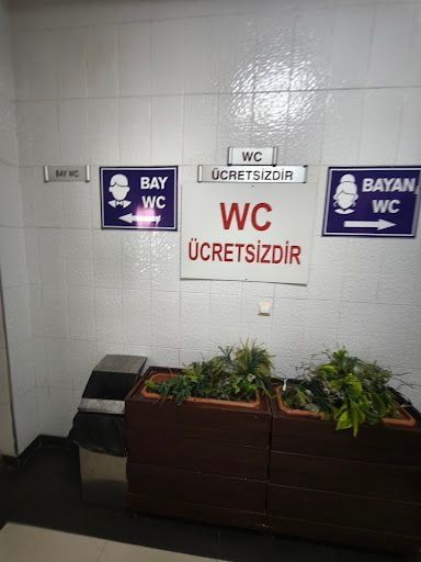 Yorum fotoğrafı 4