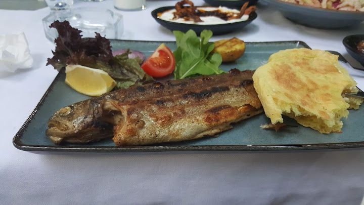 Fotoğraf 17