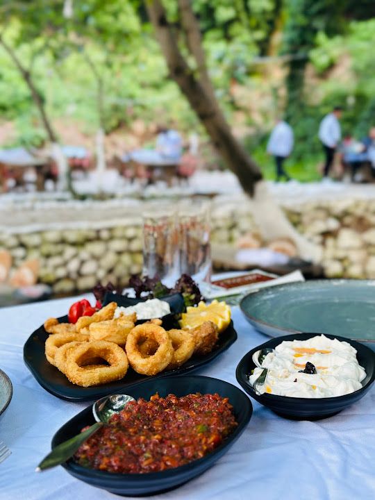 Fotoğraf 30