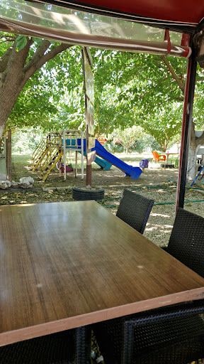 Fotoğraf 23