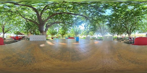 Fotoğraf 27