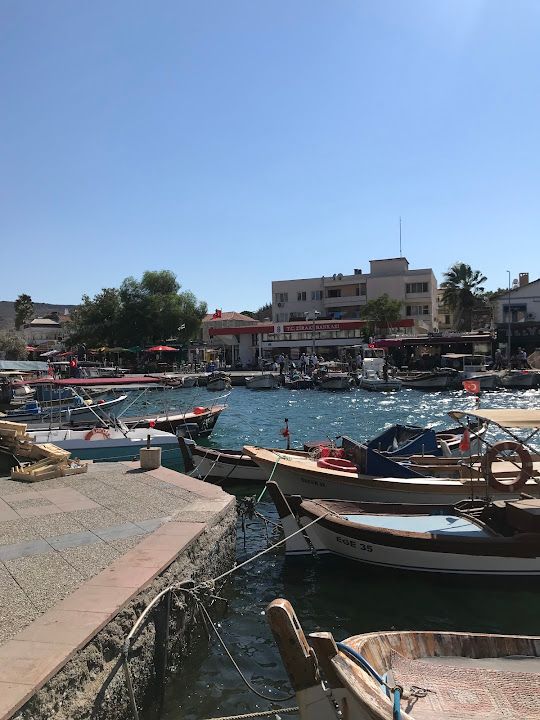 Yorum fotoğrafı 4