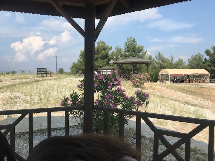 Fotoğraf 67