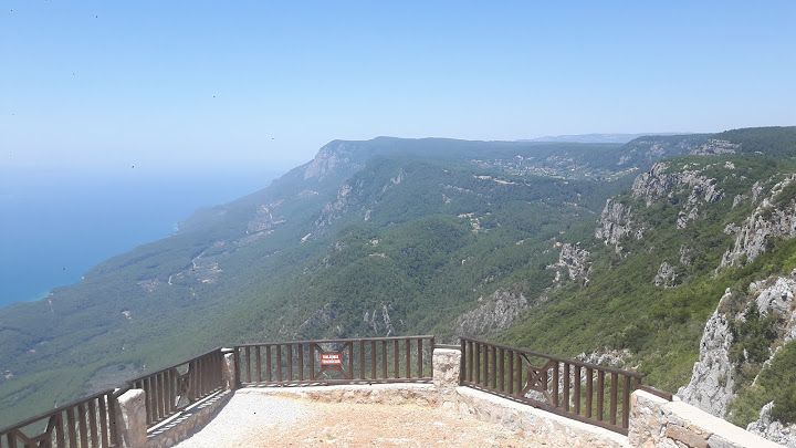 Fotoğraf 92