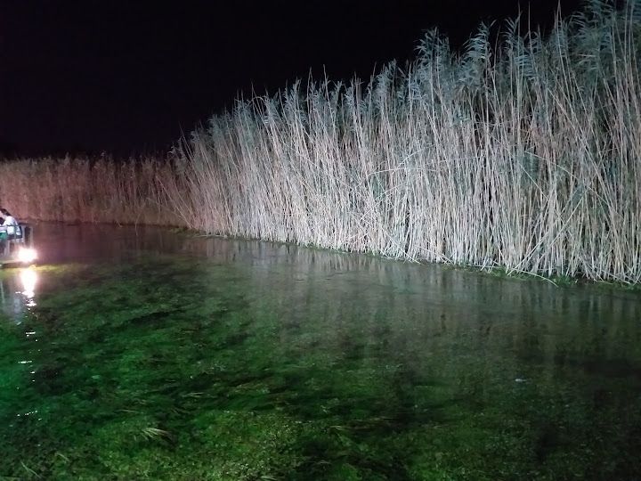 Fotoğraf 73