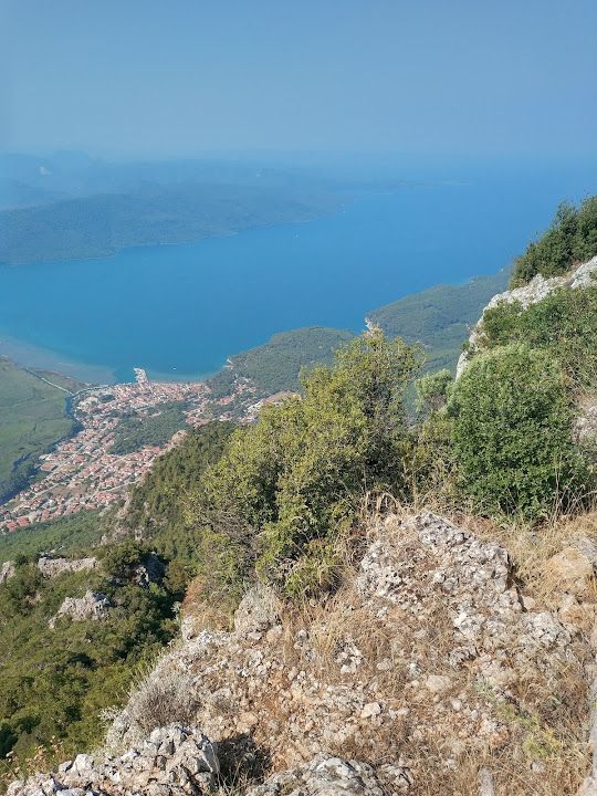 Fotoğraf 65