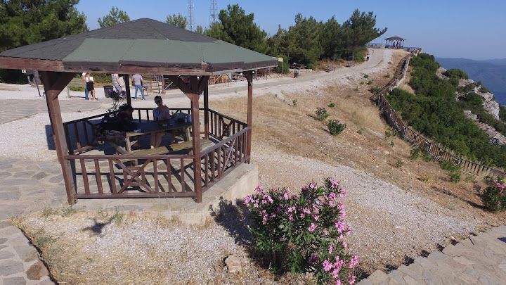 Fotoğraf 86